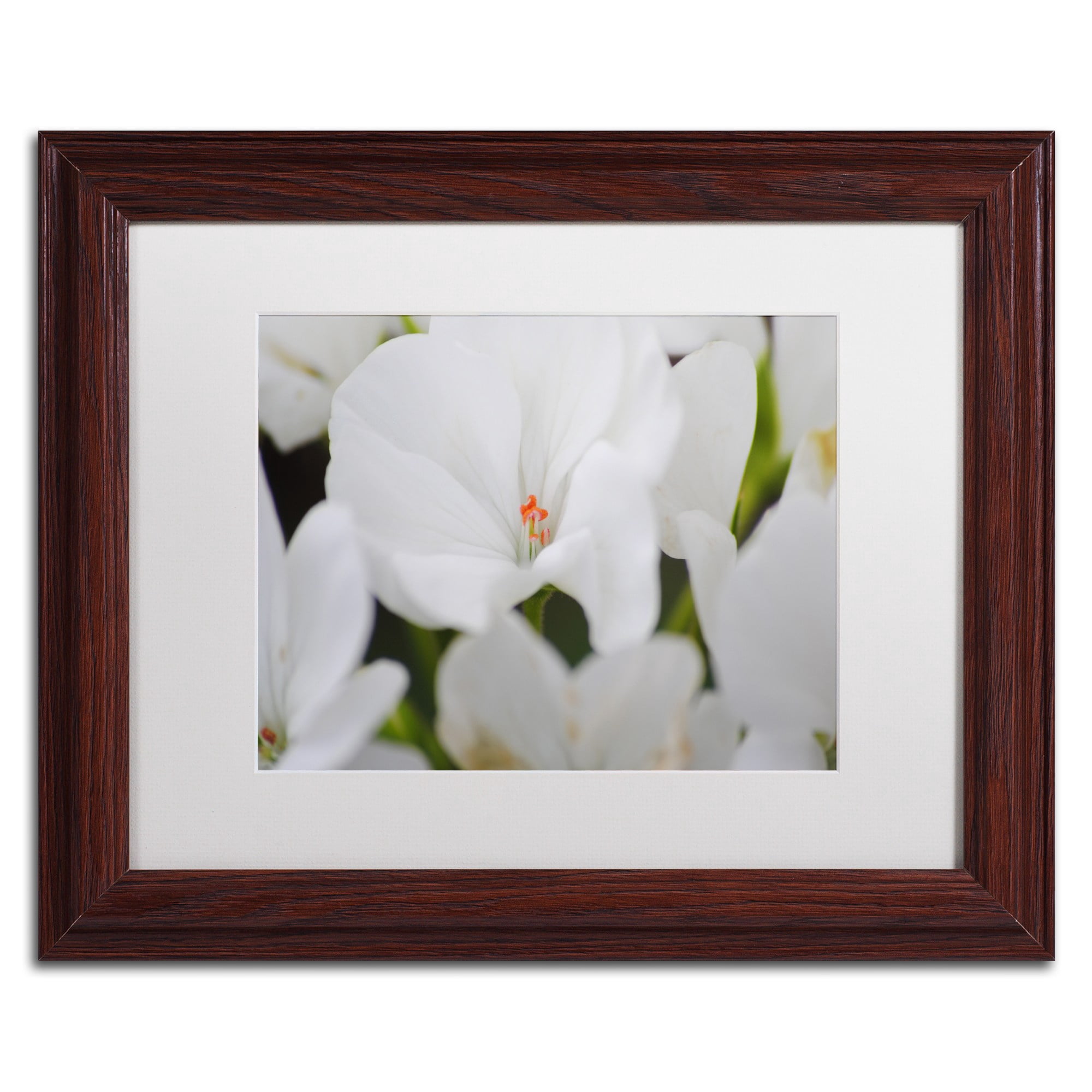 Trademark Fine Art "Clustered Jewel" Canvas Art by Monica Mize, White Matte, Wood Frame