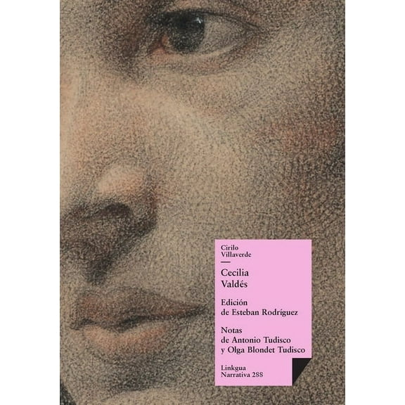 Narrativa Cecilia ValdÃ©s, Book 288, (Paperback)