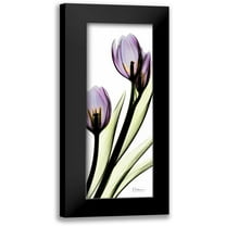 Koetsier, Albert 7x14 Black Modern Framed Museum Art Print Titled - Tulip in Purple