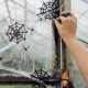 thumbnail image 2 of 1 conjunto de Props Props Props de Halloween Simulación Spider Webs Decorative Spider Webs, 2 of 8