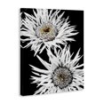 thumbnail image 4 of Stupell Industries Bold Contrast Flower Buds Plants & Flowers Painting Wrapped Canvas Art Print Wall Art, 30 x 40, 4 of 8