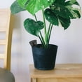 thumbnail image 4 of OUNONA 10Pcs Plastic Fertilizer Box With Lid For Orchid Fertilizing Purposes, 4 of 6