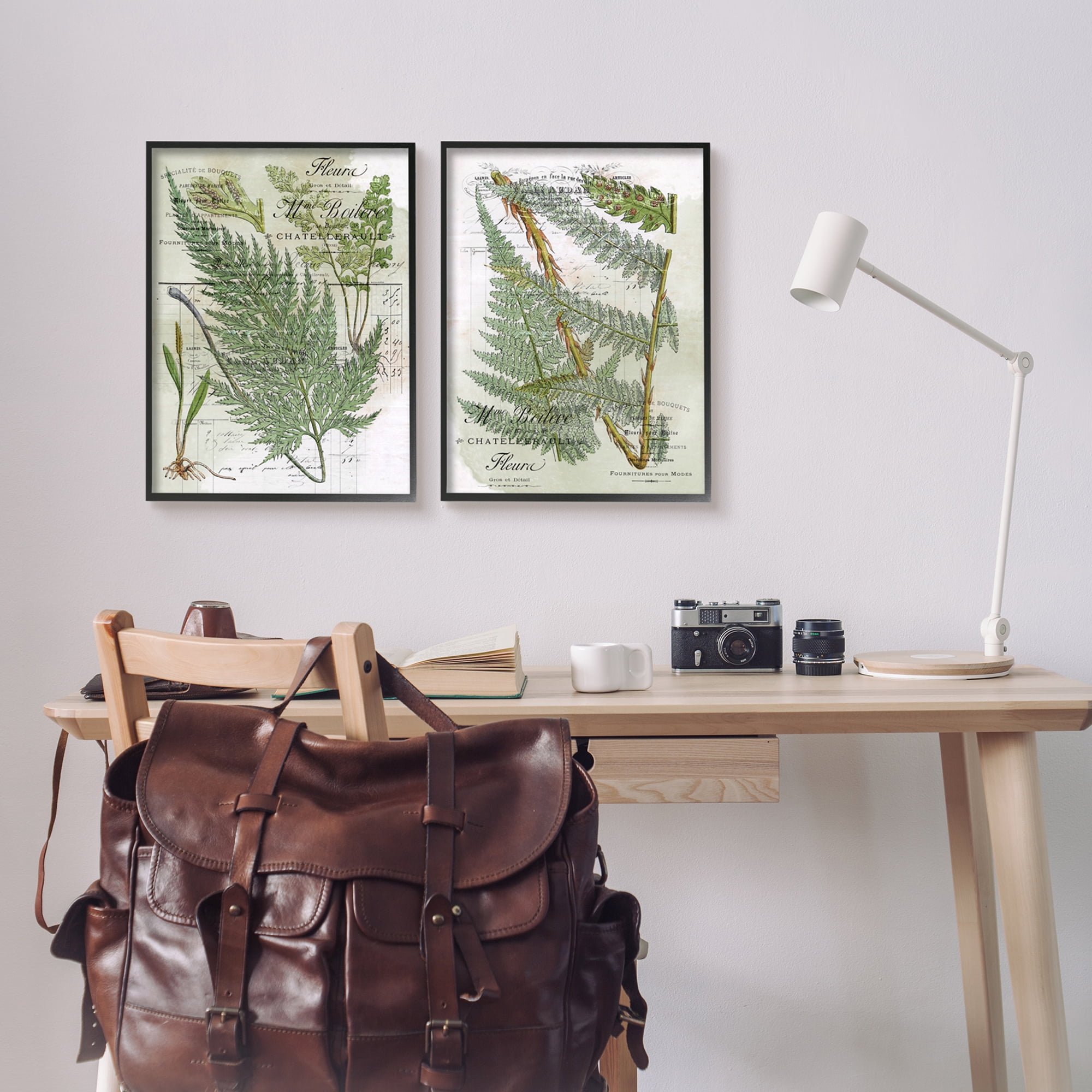 Stupell Woodland Fern Botanical Latin Study Botanical & Floral Painting Black Framed Art Print Wall Art, Set of 2