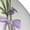 2 Black-1, variant on Lavender Flowers Print Adult Socks for Men & Women,Calf Socks, Ankle Socks,Boots Socks,Breathable Casual Sock,Unisex Crew Socks