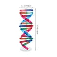 thumbnail image 4 of KAKOWELY gene models DNA Models Double Helix Structure Models DNA Double Human Gene Science Popularization Assembling Experimental Equipment For DNA Assembling Teaching, 4 of 5