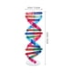 thumbnail image 5 of Modelos De ADN Modelos De Estructura De Doble Hélice ADN Doble Gen Humano Popularización De La Ciencia Ensamblaje De Equipos Experimentales Para La Enseñanza De Ensamblaje De ADN, 5 of 8