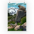 thumbnail image 2 of Rocky Mountain National Park, Colorado, Marmots (12x18 Wall Art Poster, Room Decor), 2 of 3