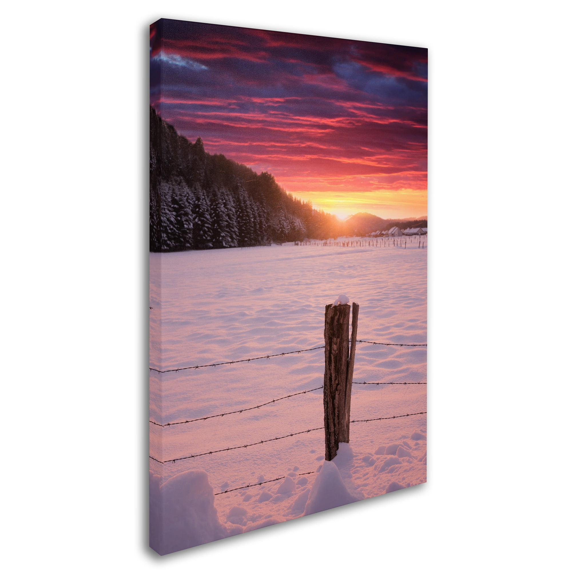 Trademark Fine Art 'Moments' Canvas Art by Philippe Sainte-Laudy