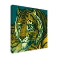 thumbnail image 2 of Trademark Fine Art 'Jungle Flair II' Canvas Art by Wild Apple Portfolio, 2 of 4