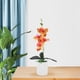 thumbnail image 3 of GOOHOCHY 2 piezas de plantas artificiales en maceta, flores falsas en maceta, orquídeas polilla de imitación en maceta, bonsái, 3 of 8