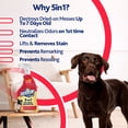 thumbnail image 4 of Resolve 5in1 Pet Mess Destroyer Carpet Stain Cleaner And Odor Remover up to 7 Days Old, 22oz, 4 of 12