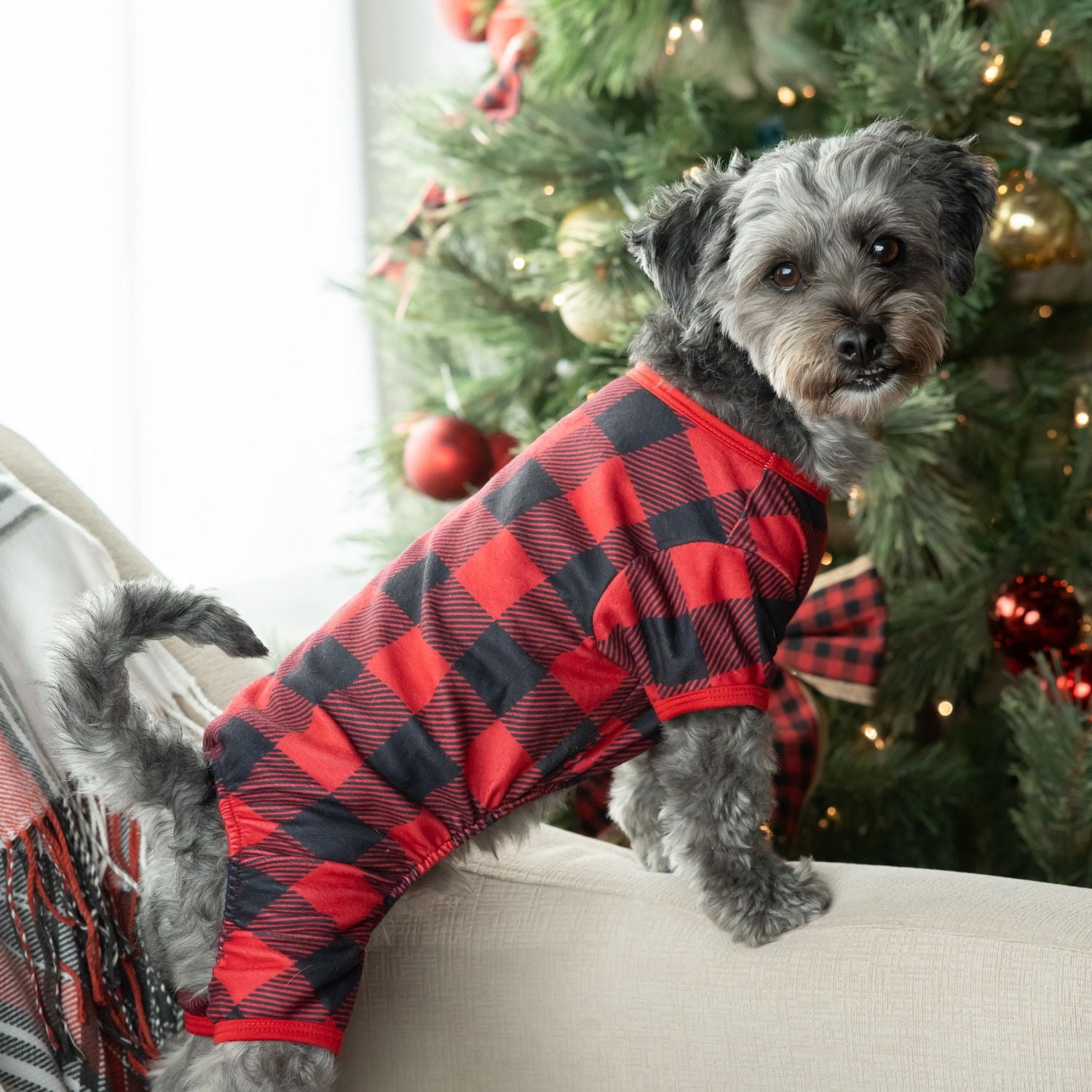 Vibrant Life Checkered Pet Holiday PJ for Pets - Dog and Cat Pajamas - Red