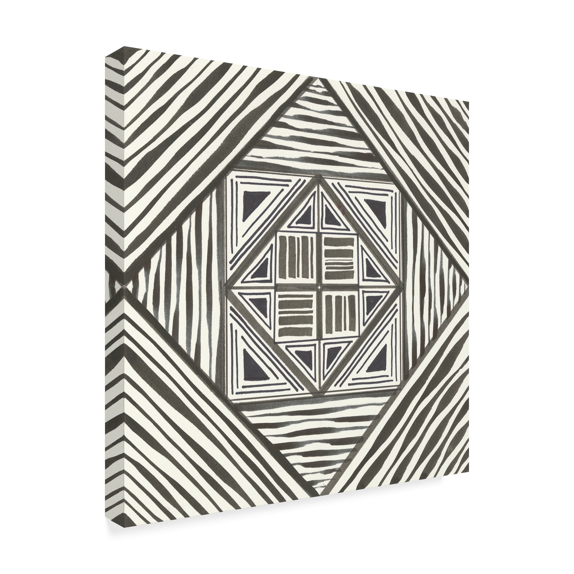 Trademark Fine Art 'Graphics II' Canvas Art by Chris Paschke