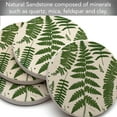 thumbnail image 5 of Thirstystone Natural Ferns Round Natural Sandstone Coaster 4-Pack, 5 of 6