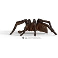 thumbnail image 7 of Schleich Harry Potter - 6" Aragog Spider Figurine Toy - Wizarding World Collectible Figures for Kids and Adults Ages 6+ | 13987, 7 of 7