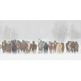 thumbnail image 2 of Jones, Adam 24x14 Gold Ornate Wood Framed with Double Matting Museum Art Print Titled - Large herd of horses during a horse roundup in winter-Kalispell-Montana, 2 of 4