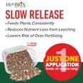 thumbnail image 4 of HyR BRIX Tomato Fertilizer 5-8-10, 4 of 7
