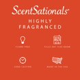 thumbnail image 4 of Wax Melts Scentsationals, aroma a naranja fundida, 300 ml (24 cubos), 4 of 7