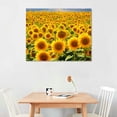 thumbnail image 2 of Nawypu  Canvas Print Wall Art Hundreds of Sunflowers in Field Floral Plants Photography Realism Contemporary Scenic Colorful Multicolor Ultra for Living Room, Bedroom, Office, 2 of 4