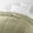 Sage, variant on Noble Linens Sage All Season Lightweight Down-Alternative Solid Comforter, Full/Queen