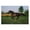Dashing Camargue Racehorse Motion, variant on Stupell Industries Rustic Lodge Dashing Camargue Racehorse Canvas Art, 24 x 16, by Scott Stulberg