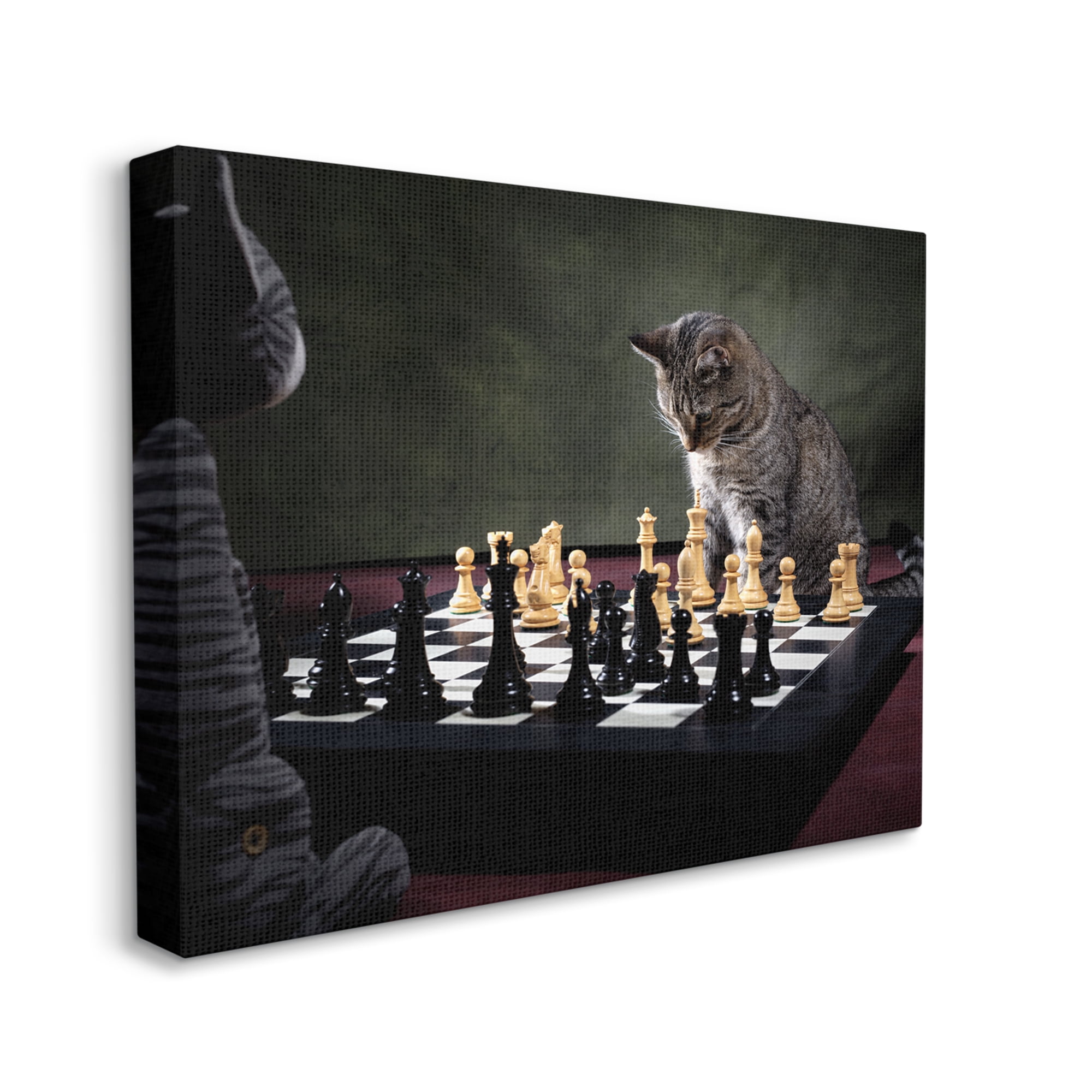 Stupell Industries Cats Playing Chess Animals & Insects Photography Gallery Wrapped Canvas Art Print Wall Art, 48 x 36