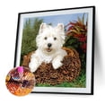 thumbnail image 4 of Cuadros Decorativos 5D taladro redondo completo diamante pintura cachorro perro diy bordado punto de cruz decoración Likrtyny embutido en tela, 4 of 9