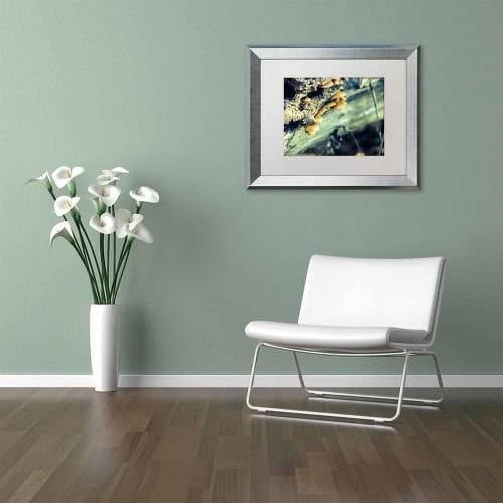 Trademark Fine Art 'Aged Mushroom' Canvas Art by PIPA Fine Art, White Matte, Silver Frame