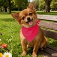 thumbnail image 4 of PremiumPetTowelScarf for Cats and Dogs Towel Design with Versatile Triangular Bib Style for Indoor Outdoor Use, 4 of 5
