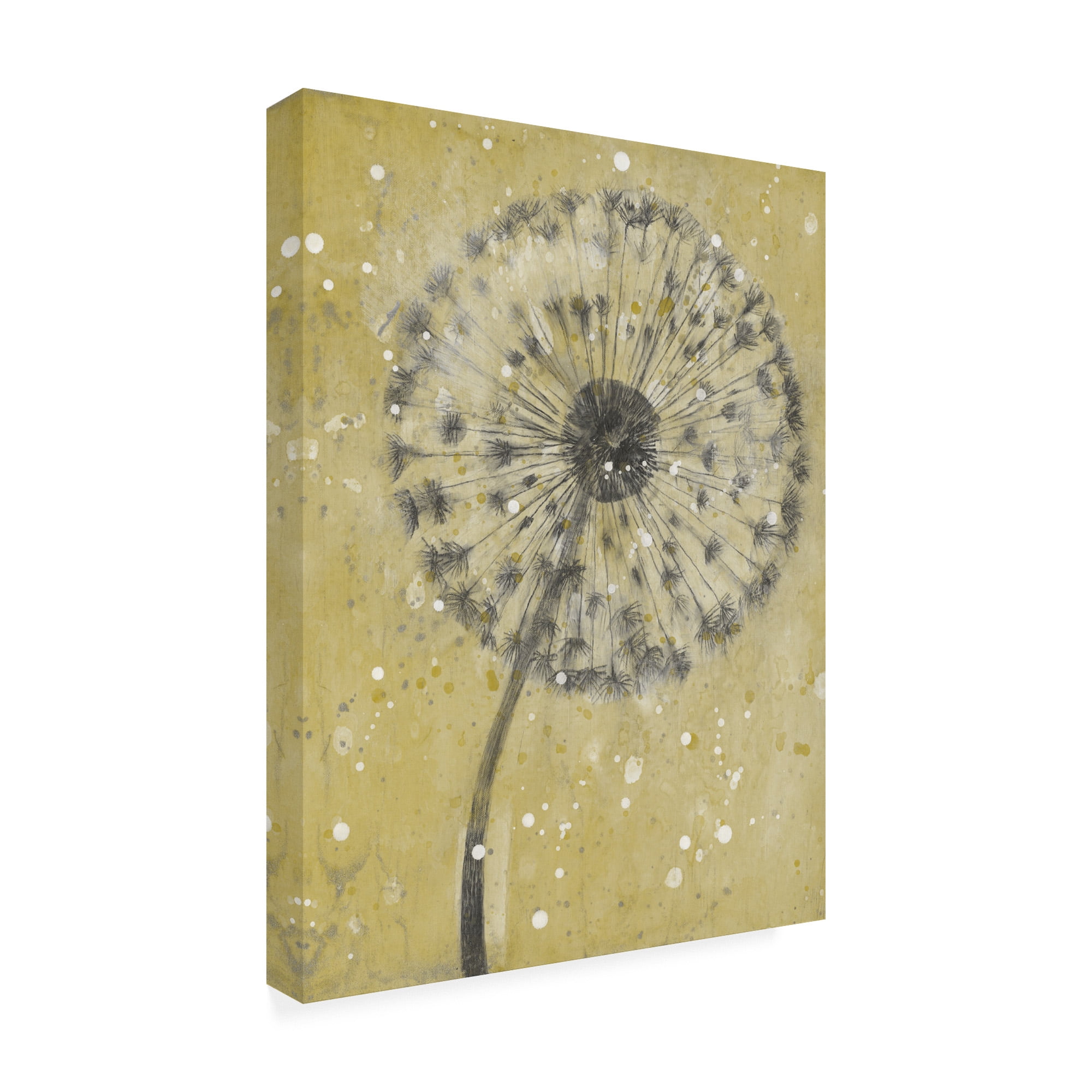 Trademark Fine Art 'Dandelion Abstract I' Canvas Art by Tim OToole