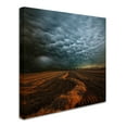 thumbnail image 2 of Franz Schumacher 'Mammatus' Canvas Art, 2 of 3