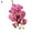 Rose Red, variant on Mdesiwst Artificial Flower Butterfly Orchid Bendable Garden DIY Party Wedding Decor