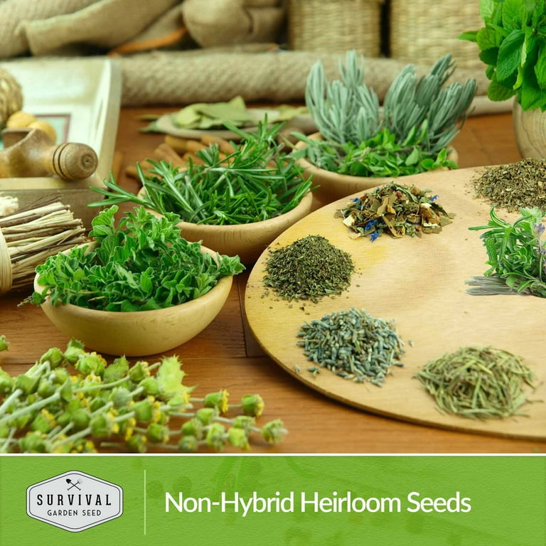 Home Garden Seed Collection - 30 Vegetables - SurvivalGardenSeeds