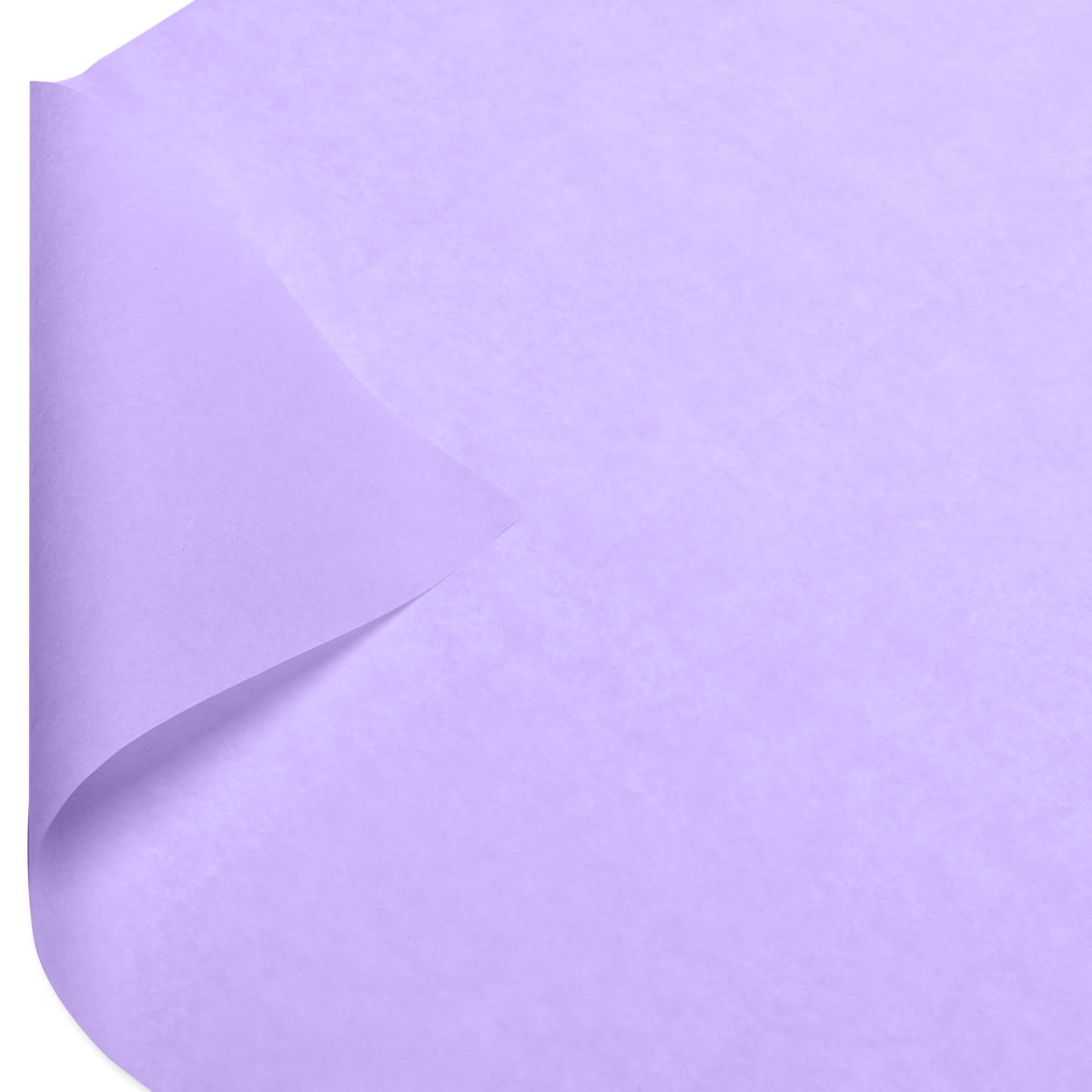 American Greetings 20 in. x 20 in. Lavender Tissue Paper (8-Sheets)