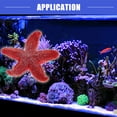 thumbnail image 2 of Vocoste 1 Pc Colorful Coral Reef Decor Mini Faux Coral Decor for Aquarium Decorations Red 4.3x4.3cm, 2 of 7