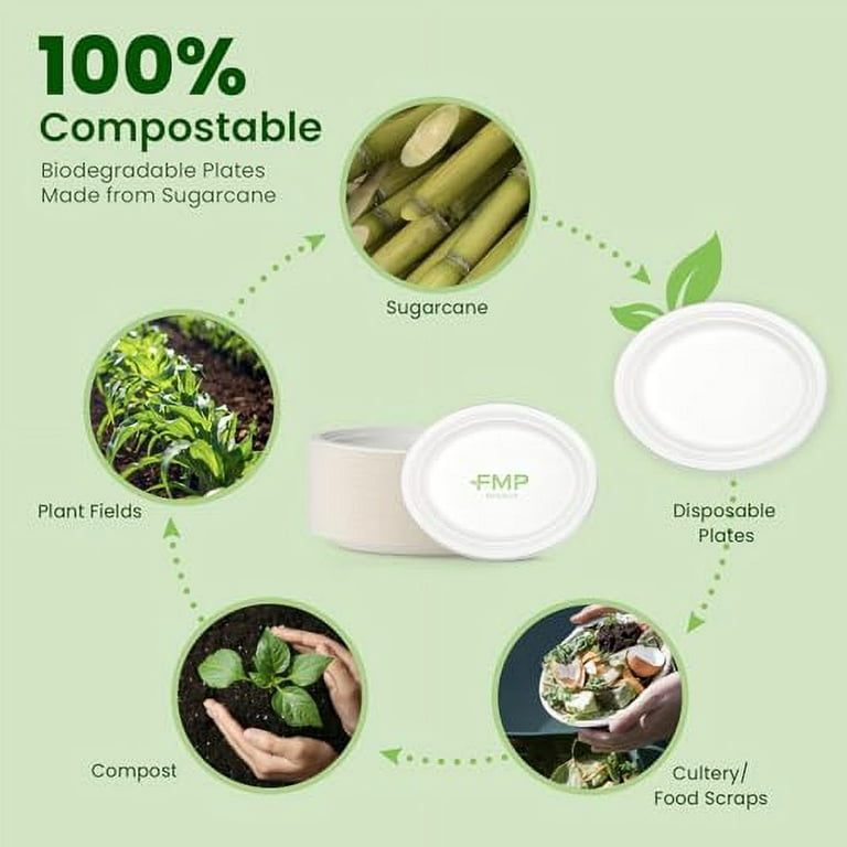 Greconv 300 Pack Paper Plates Bulk, Small Paper Plates 6 inch, Dessert  Paper Plates Disposable, Compostable Paper Plates Made from Sugarcane  Fibers