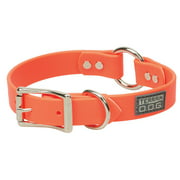 Terrain D.O.G. Brahma Webb Hunting Dog Collar, 1" x 21", Blaze Orange