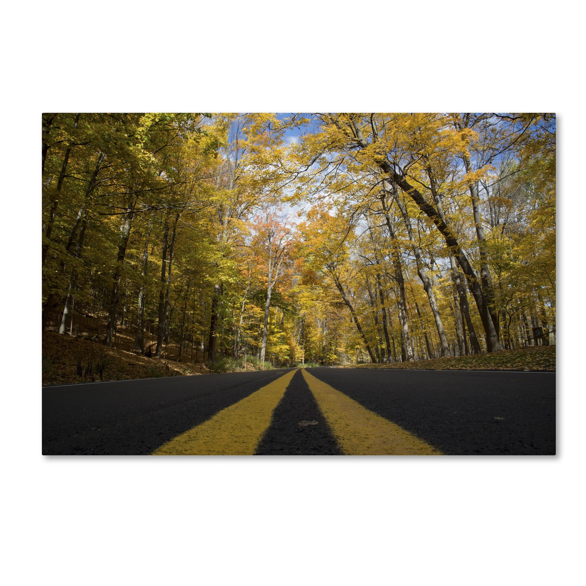Trademark Fine Art "Autumn Along the Valley Parkway" Canvas Art by Kurt Shaffer