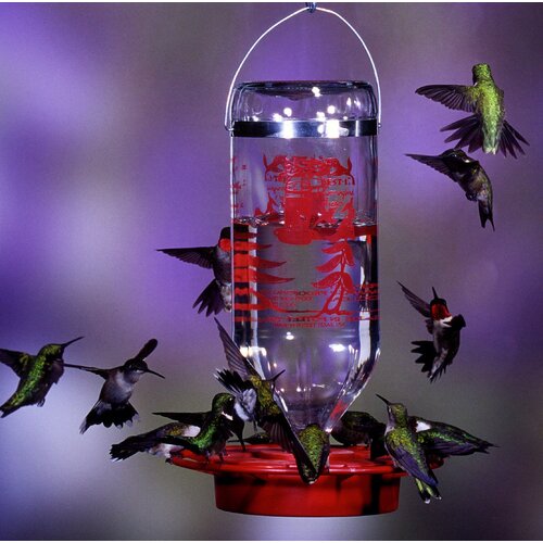 Best1 Bulk Hummingbird Feeder