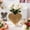 White, variant on Darzheoy Heart Shaped Glass Vase Decorative Ornament, Small Floral Centerpiece for Fresh or Artificial Flowers, Valentine's Day Anniversary Wedding Table Decor