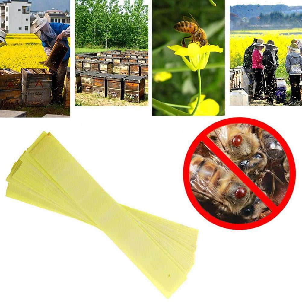 20pcs Beekeeping Fluvalinate Mite Killer Tool Set Pest Control Varroa Strip   ZP 