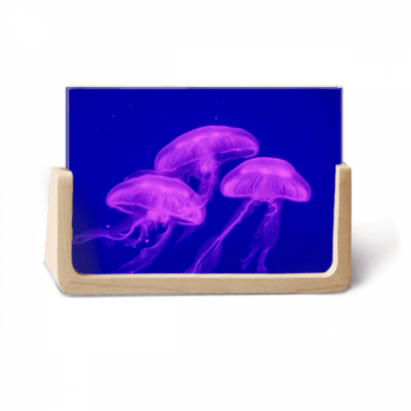 Ocean Jellyfish Science Nature Picture Photo Wooden Photo Frame Tabletop Display