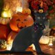 thumbnail image 4 of Ropa navideña para gatos, ropa para gatos, decoración para fiestas de Halloween, capa, sombrero, collar para perros, líder, sombrero de Halloween, traje con babero, 4 of 4