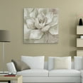 thumbnail image 2 of Masterpiece Art Gallery Haze Summer Succulent White By Nan Canvas Art Print 30" x 30", 2 of 4