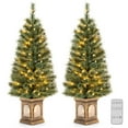 thumbnail image 1 of Costway 2 PCS 4 FT Pre-Lit Potted Christmas Tree Pine Needles 3 Modes Remote Control, 1 of 10