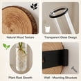 thumbnail image 4 of Wall Mounted Glass Planter, Natural Wood Slice Single Test Tube Hydroponic Vase, Hanging Plant Propagation Station for Indoor Home Decor and Office Wall Art Decoration, 4 of 6