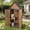 Brown  (Metal+Wood), variant on Aivituvin Outdoor Storage Cabinet, Wood & Metal Frame Garden Storage Shed with Waterproof Plastic Roof, Adjustable Shelves, Raised Base, Weather-Resistant Tool Shed for Backyard, Patio & Lawn, 67.5"H