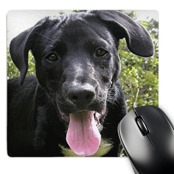 3dRose, Black Labrador Puppy, MousePad