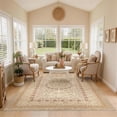 thumbnail image 6 of Toyoso 6x9 Luxurious Traditional Area Rug, Ornate Frame Indoor Carpet, 0.25 inch Thin Machine Washable Non Slip Floor Decor for Modern Apartment Living Area, Ivory Champagne, 6 of 8