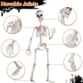 thumbnail image 2 of Modelo de anatomía corporal de Halloween, esqueleto de tamaño completo, hueso de mano, decoraciones para fiesta en casa, 2 of 9